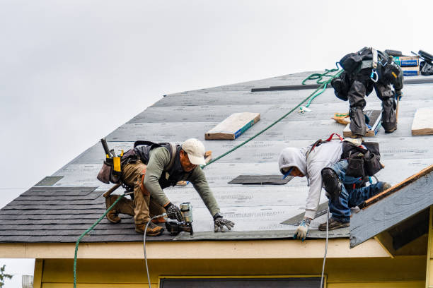 Professional Storm Damage Roof Repair technician working in Marshalltown, IA